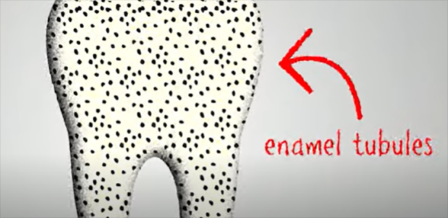 Foto: tangkap layar YouTube The Bentist